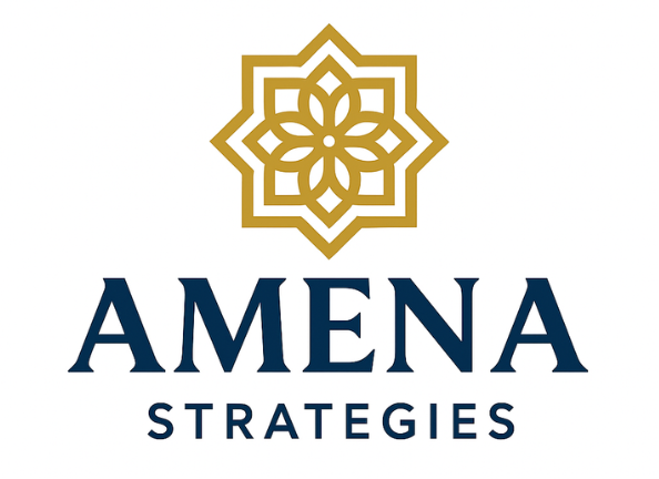 AMENA Strategies
