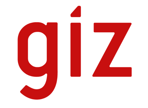 Deutsche Gesellschaft für Internationale Zusammenarbeit (GIZ)
